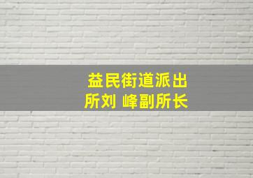 益民街道派出所刘 峰副所长